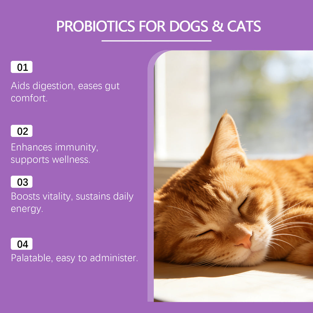 Probiotic Powder For Pet Intestinal Care by Ricaloux