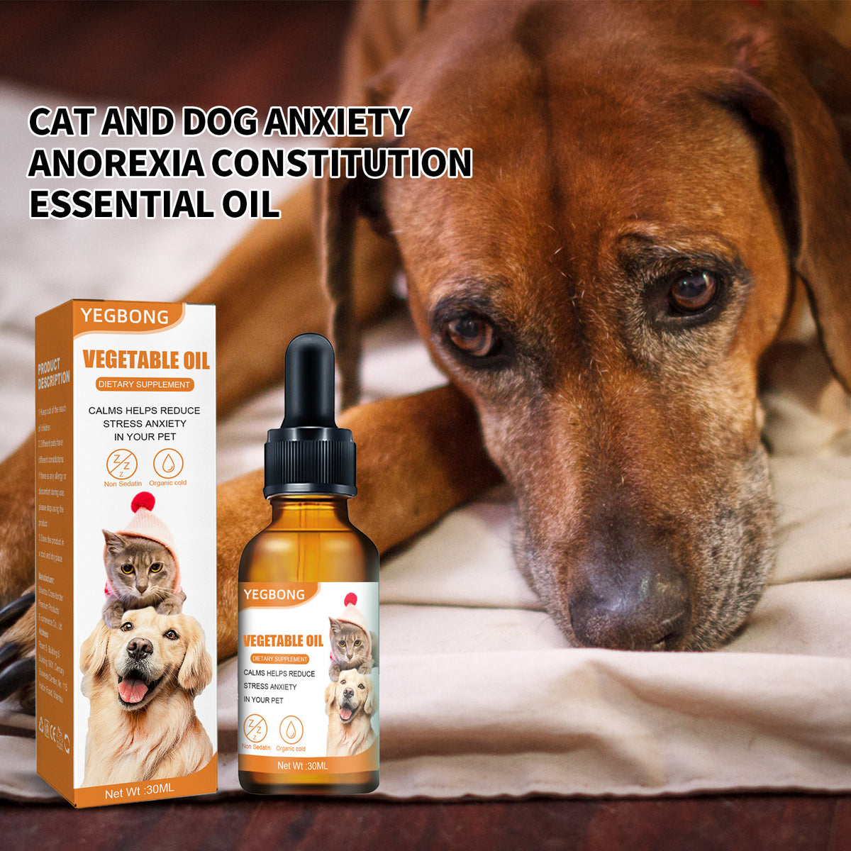 Pet Cat And Dog Diet Care To Enhance Physical Fitness And Nutritional Supplements by Ricaloux