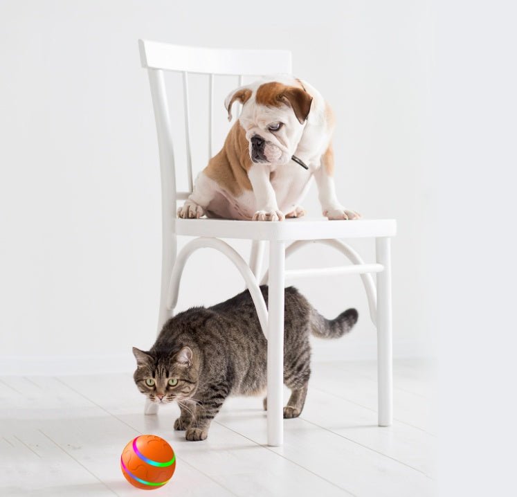Pet New Cat Wicked Ball Toy Intelligent Ball USB Cat Toys Self Rotating Ball Automatic Rotation Ball - RICALOUX