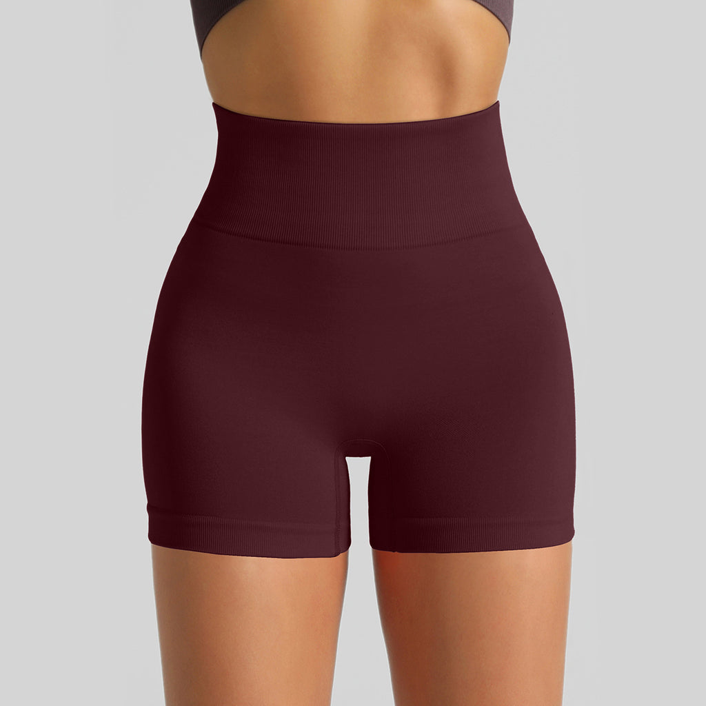 Women's Seamless Knit Yoga Shorts, High Waist Lifting Scrunch Butt Tight Workout Running Sports Shorts – Premium 4 | RICALOUX