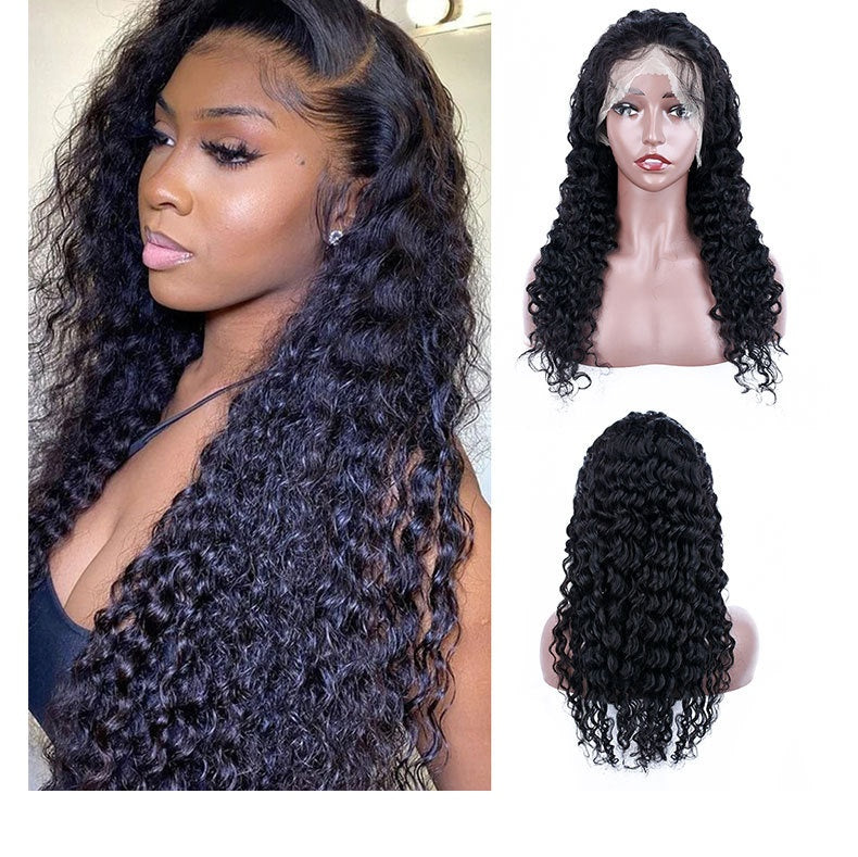 13x4 Lace Front Human Hair Wig – Premium 0 | RICALOUX