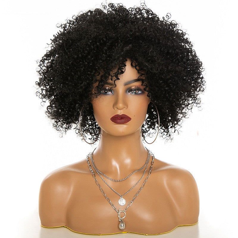 Afro Kinky Curly Hair Wigs Afro Kinky Curly Hair Wigs by Ricaloux