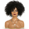 Afro Kinky Curly Hair Wigs Afro Kinky Curly Hair Wigs by Ricaloux