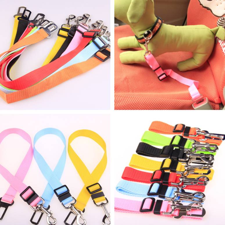 Fixed Strap Polyester Dog Strap Dog Leash Dog Leash - RICALOUX