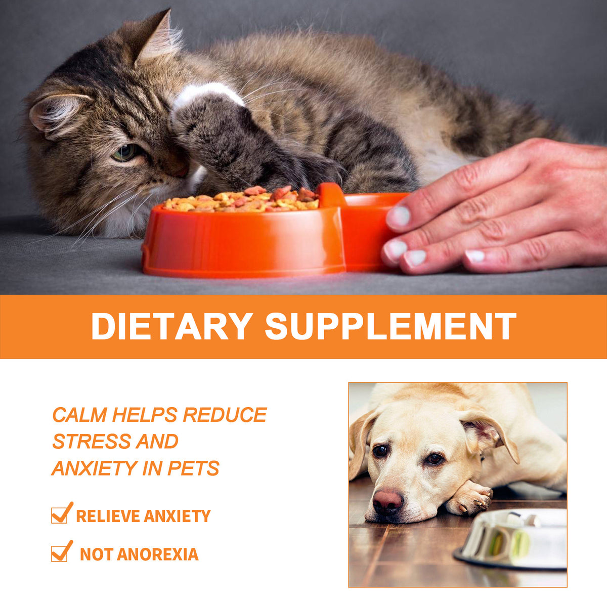 Pet Cat And Dog Diet Care To Enhance Physical Fitness And Nutritional Supplements by Ricaloux