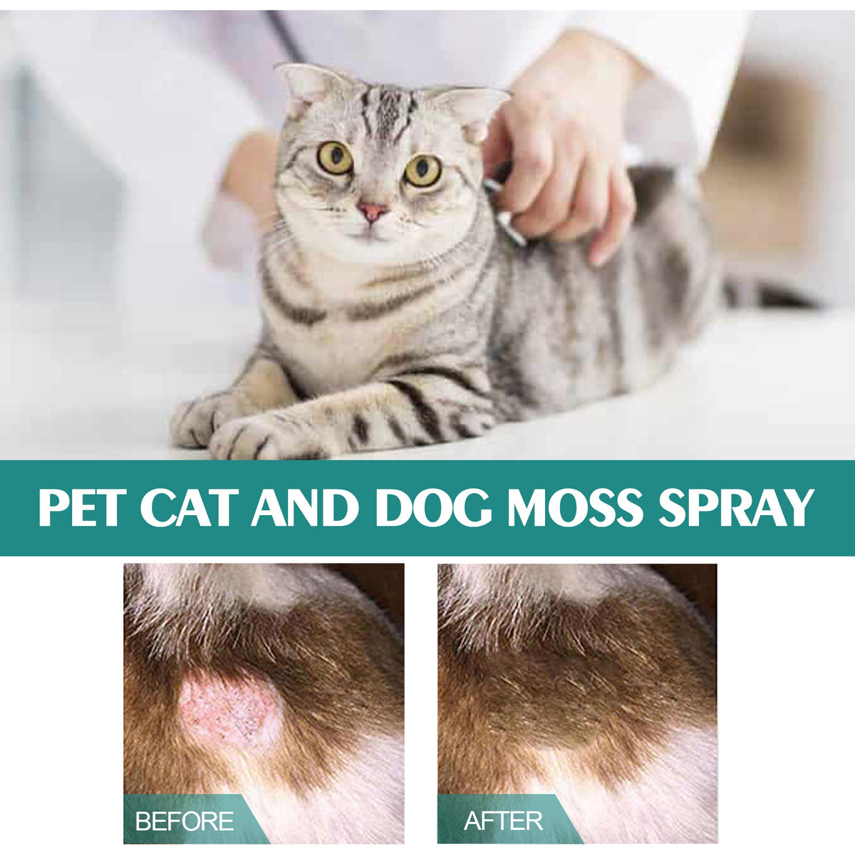 Pet Cat Dog Moss Spray Mite-removal Cleaning Relieve Pet Skin Moss Care Anti-itching Spray by Ricaloux