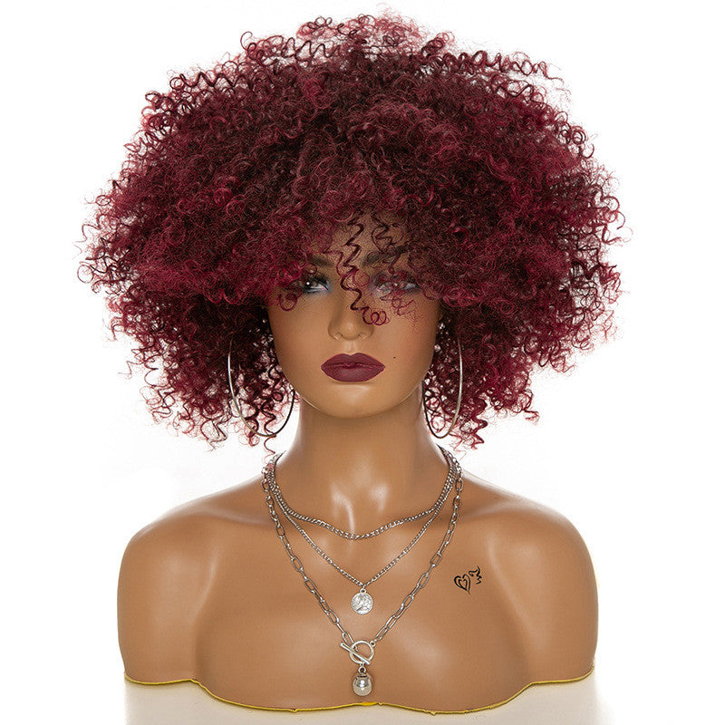 Afro Kinky Curly Hair Wigs Afro Kinky Curly Hair Wigs by Ricaloux