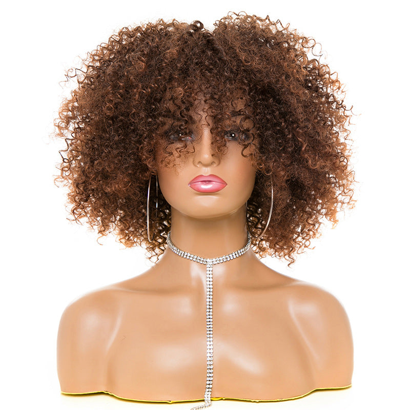 Afro Kinky Curly Hair Wigs Afro Kinky Curly Hair Wigs by Ricaloux