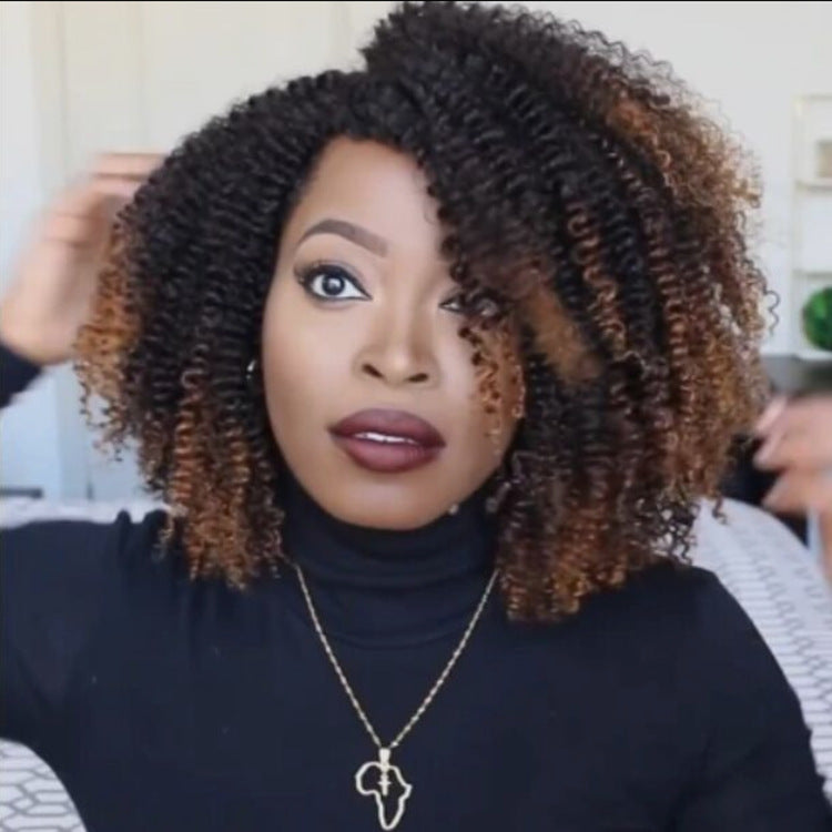 Wig Black Brown African Small Curly Hair Synthetic Wigs – Premium 0 | RICALOUX
