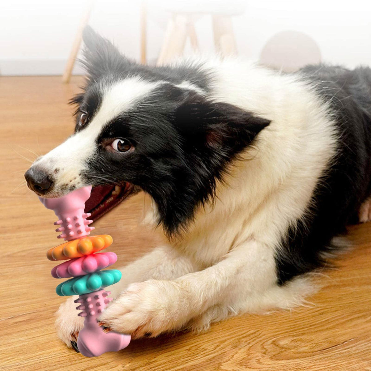 Dog Chew Toy Dog Bone Type Dogs Teeth Cleaning Toys Indestructible TPR Bone Chewing Bite Resistant Teething Toys Pet Products by Ricaloux