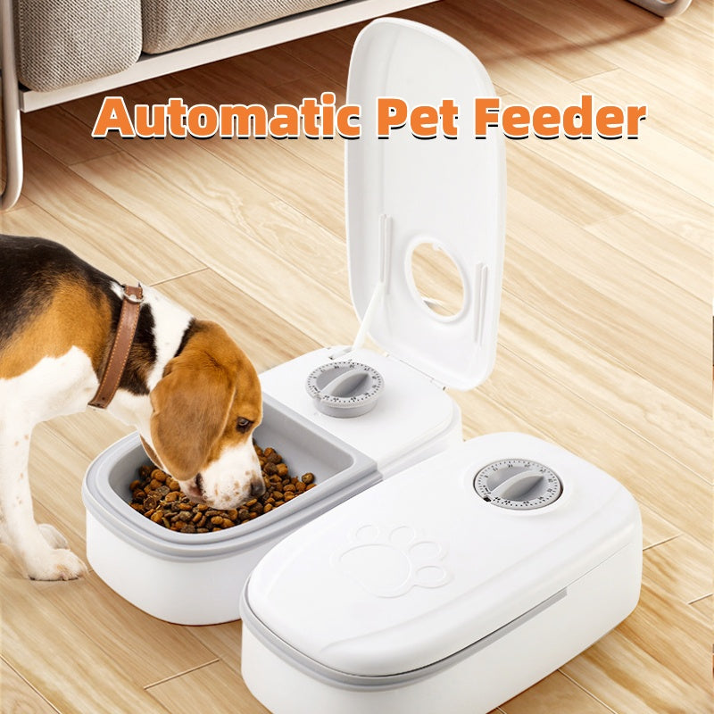 Automatic Pet Feeder Smart Food Dispenser For Cats Dogs Timer Stainless Steel Bowl Auto Dog Cat Pet Feeding Pets Supplies by Ricaloux