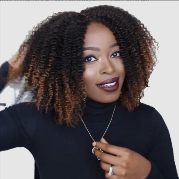 Wig Black Brown African Small Curly Hair Synthetic Wigs – Premium 0 | RICALOUX