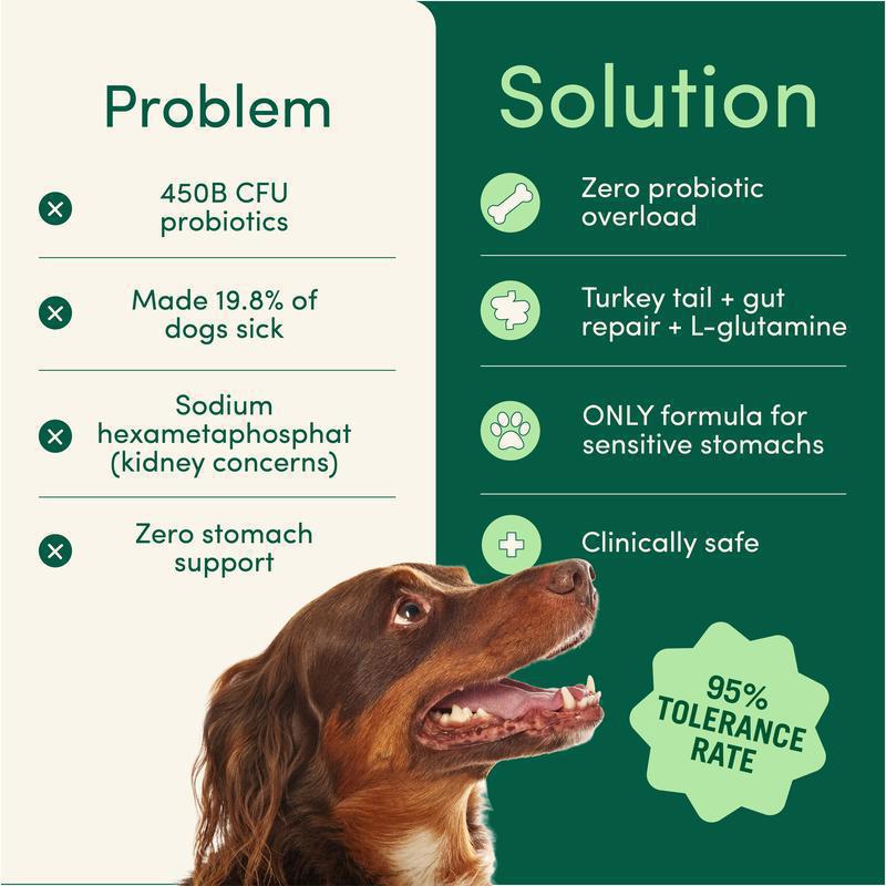 Pet Oral Care Powder Dog Teeth-Cleaning Powder by Ricaloux
