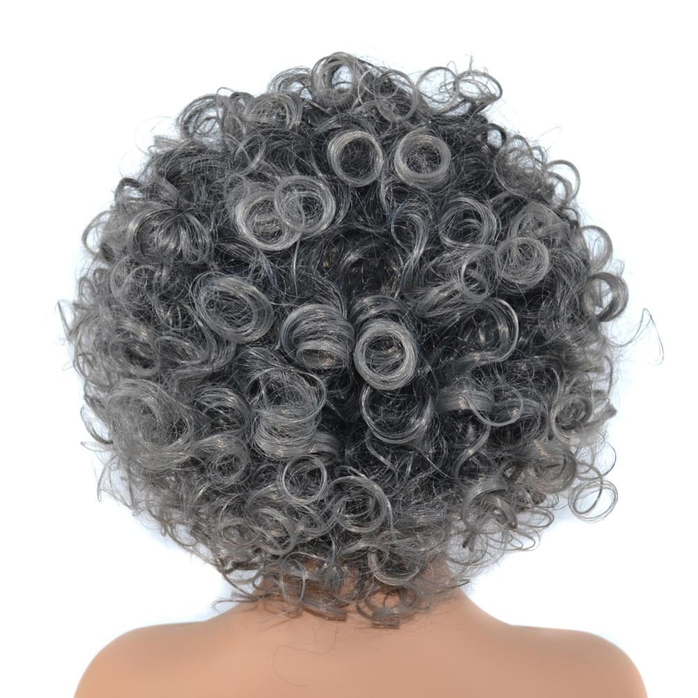 Black Granny Grey Hair Wig – Premium 0 | RICALOUX