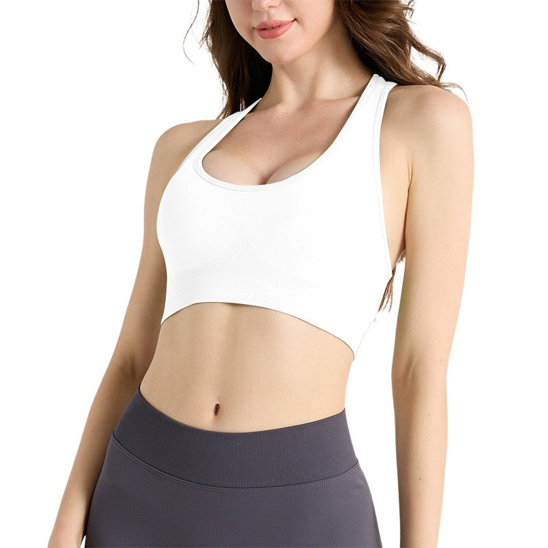 New Seamless Sports Bra With A Racerback Design – Premium 0 | RICALOUX