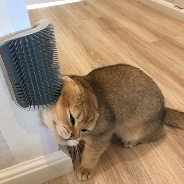Cat Self-Grooming Brush Pet Wall Rubbing Device by Ricaloux