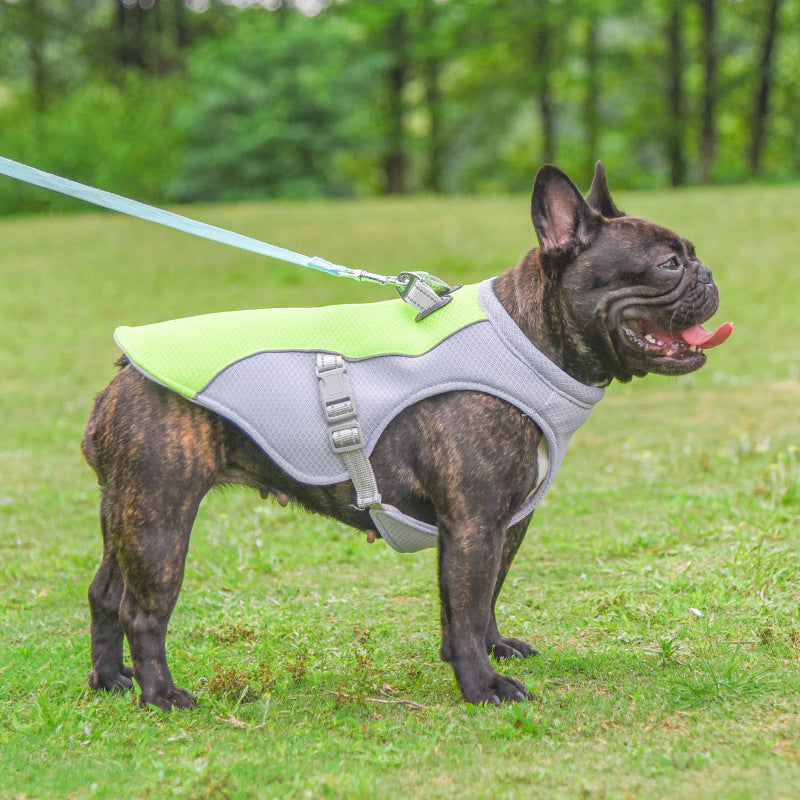 Summer Pet Dog Cooling Vest Heat Resistant Cool Dogs Clothes Breathable Sun-proof Clothing For Small Large Dogs Outdoor Walking by Ricaloux