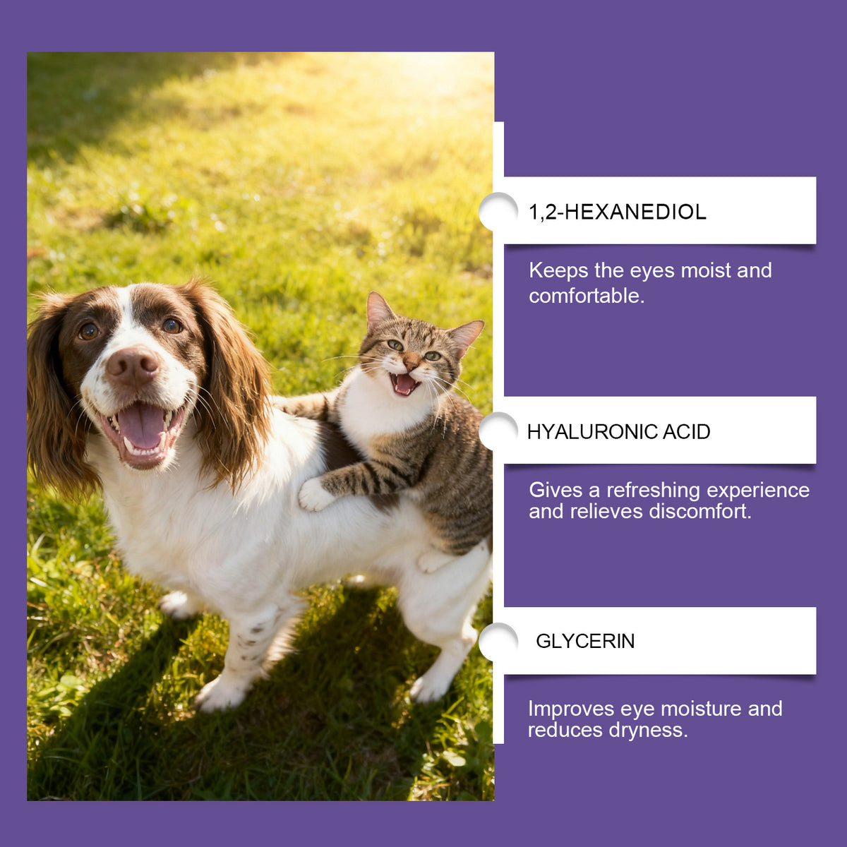 Pet Eye Drops Gently Care For Cats And Dogs' Eye Tear Stains, Tear Marks, And Eye Discharge by Ricaloux