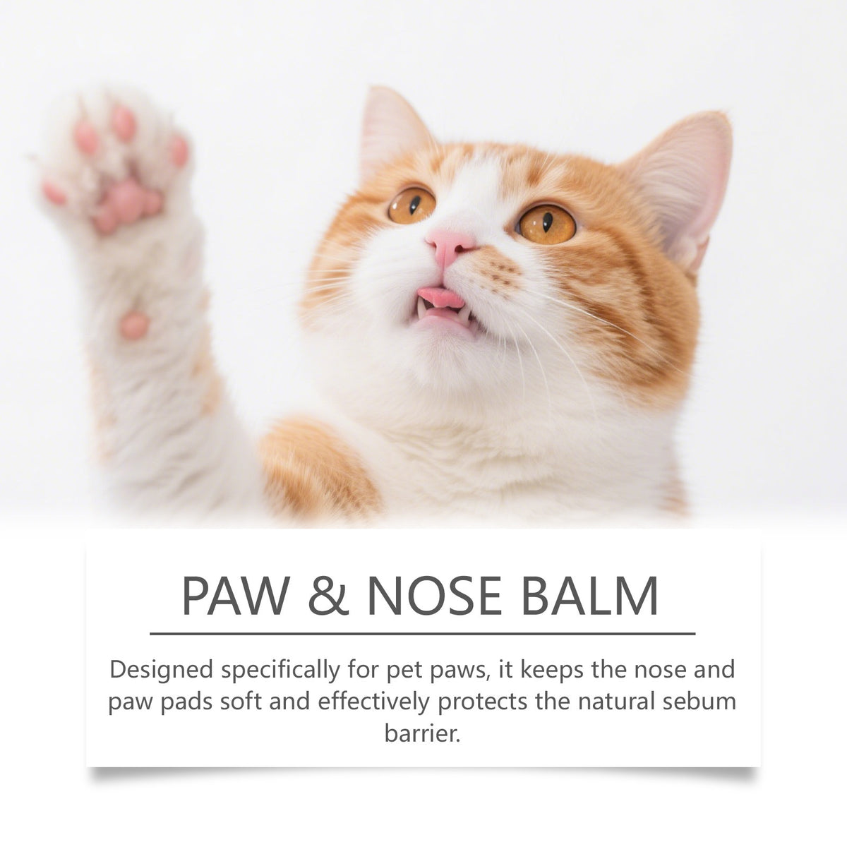 Pet Moisturizing Care by Ricaloux