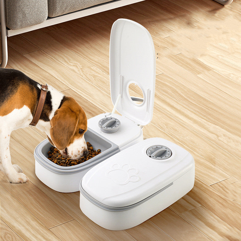 Automatic Pet Feeder Smart Food Dispenser For Cats Dogs Timer Stainless Steel Bowl Auto Dog Cat Pet Feeding Pets Supplies by Ricaloux